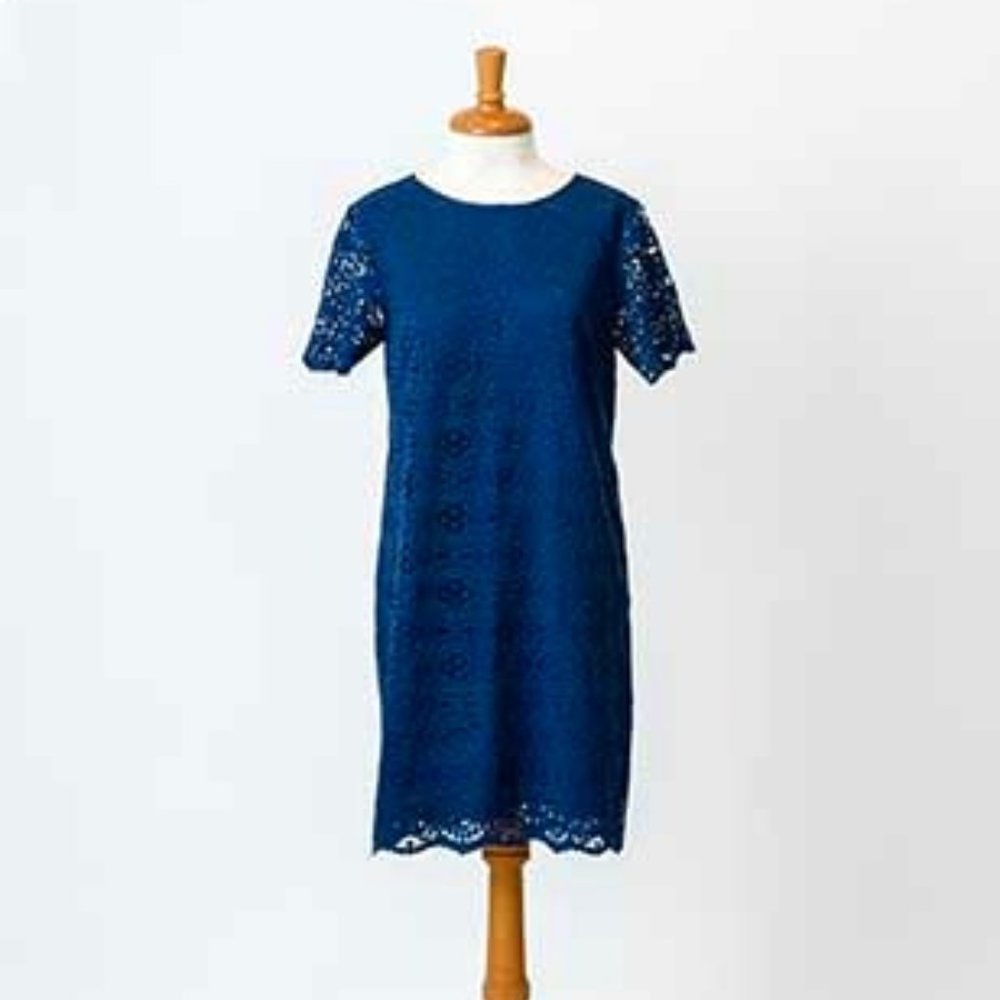 Ann Taylor Blue Lace Shift Dress | Sz 4
